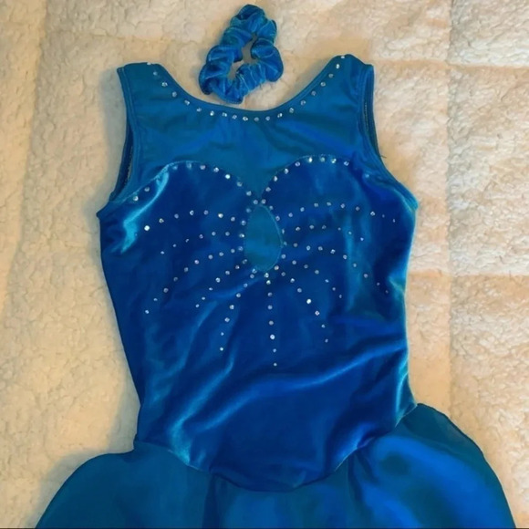 Blue Velour Figure  Skating Dress - Picture 2 of 11